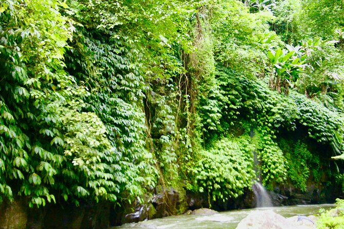 Bali ATV Quad Bike & Ayung River Rafting Combo with Lunch - Lunch and shower time: the reset you’ll be grateful for