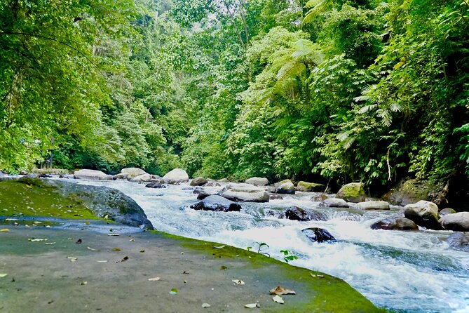 Bali ATV Quad Bike & Ayung River Rafting Combo with Lunch - What this combo is best for (and when to choose something else)