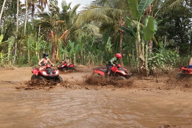 Bali ATV Quadbike Through Gorilla Face Cave - Price and value: what $90.81 really buys you