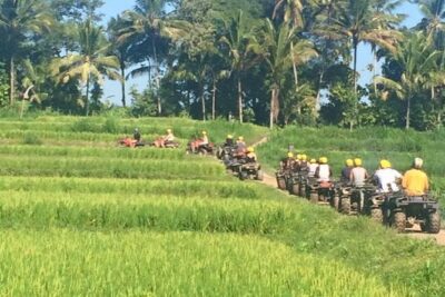 Bali ATV Ride Ubud Jungle Track - Safety, Helmets, and Why Bumpy Is Part of the Deal