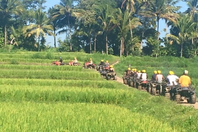 Bali ATV Ride Ubud Jungle Track - Safety, Helmets, and Why Bumpy Is Part of the Deal