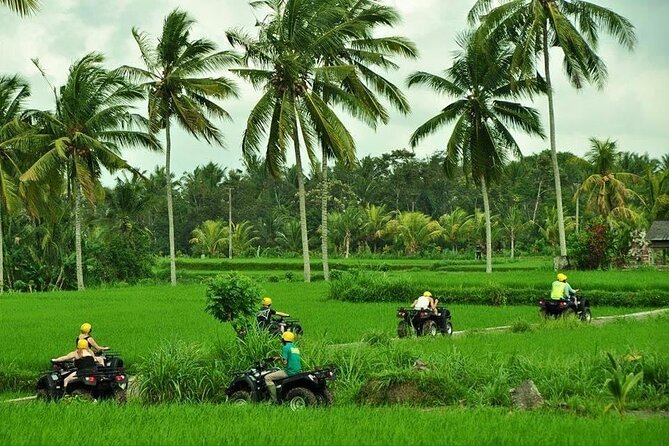 Bali ATV Ride waterfall jungle and rice fild track ubud - Getting from your hotel to Pertiwi Adventure (and back again)