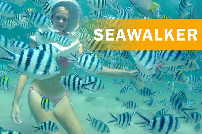 Bali Best Watersport Sea walker,Parasailing adventure,Jet sky - Seawalker helmet: breathing easy while you meet the underwater world