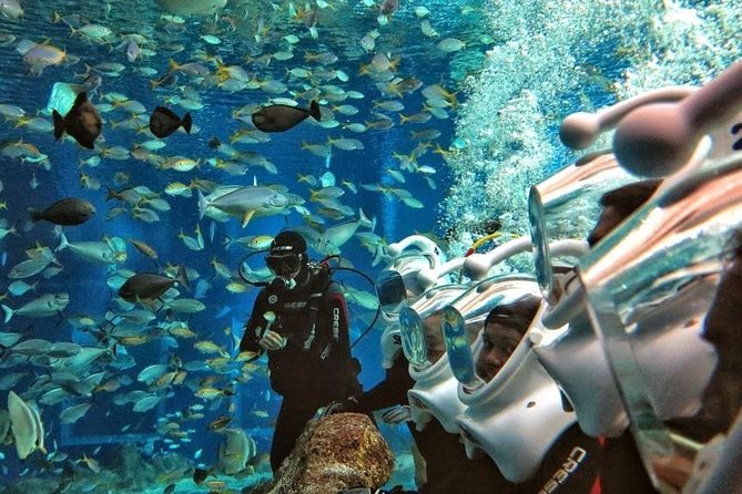 Bali Best Watersport Sea walker,Parasailing adventure,Jet sky - Parasailing: the sky portion that changes your perspective fast