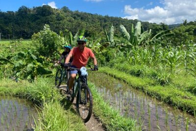 Bali Bike Tour Ubud Area - Ubud Rural Cycling: Rice Fields, Village Lanes, and a Family Compound