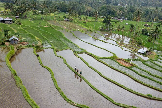 Bali Bike Tour Ubud Area - Guides, Support, and Safety: How This Tour Stays Comfortable