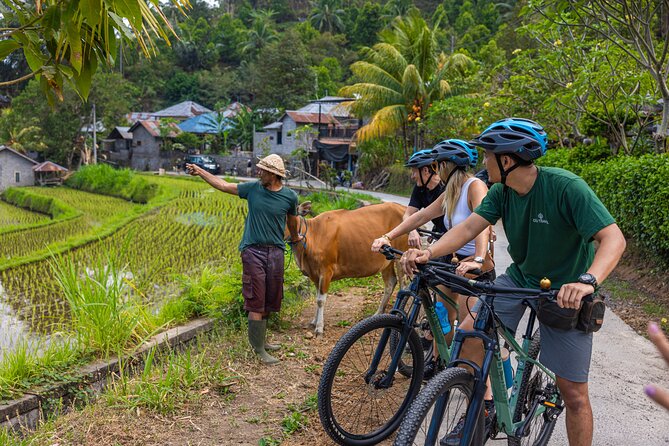 Bali Bike Tour Ubud Area - Should You Book This Ubud Bike Tour?