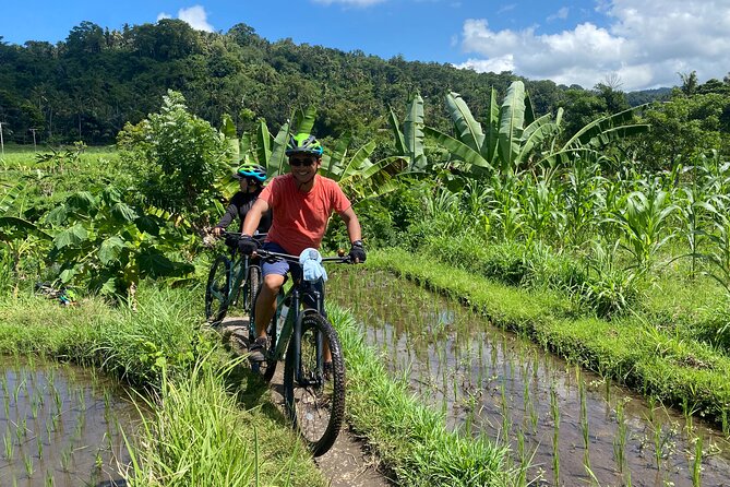 Bali Bike Tour Ubud Area - Ubud Rural Cycling: Rice Fields, Village Lanes, and a Family Compound