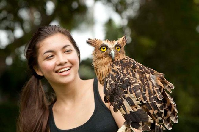 Bali Bird Park Admission Ticket with Hotel Transfer - What you’re really getting with this admission + transfer combo