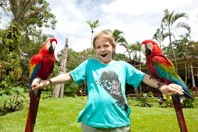 Bali Bird Park Admission Ticket with Hotel Transfer - The bird park experience: what to expect once you arrive