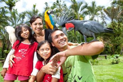 Bali Bird Park Admission Ticket with Hotel Transfer - Private hotel transfers: the practical advantage in Bali traffic