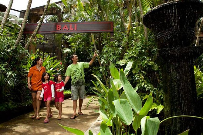 Bali Bird Park Admission Ticket with Hotel Transfer - A smart plan for 2 to 4 hours at Bali Bird Park