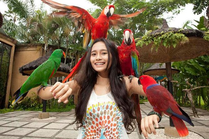 Bali Bird Park Admission Ticket with Hotel Transfer - The species list you’ll actually care about