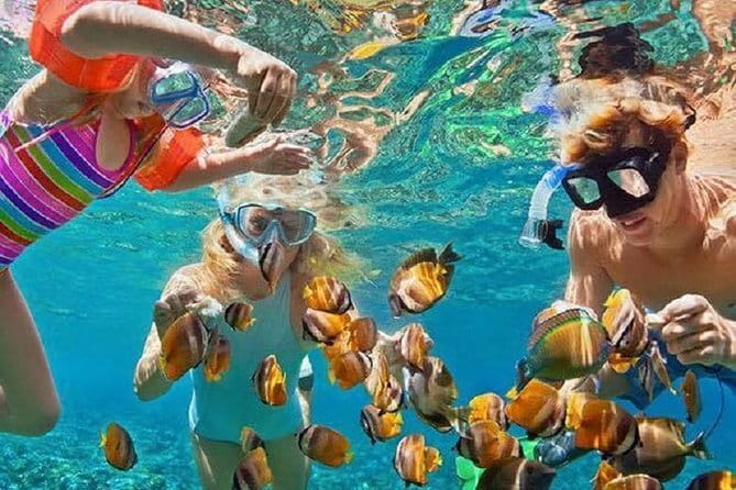 Bali : Blue Lagoon Snorkeling combine with Bali Swing in Ubud - Blue Lagoon Beach snorkeling: calm-water time and beginner-friendly odds