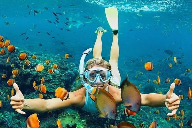 Bali : Blue Lagoon Snorkeling combine with Bali Swing in Ubud - Tegalalang Rice Terrace and Bali Swing: the photo stop that completes the day