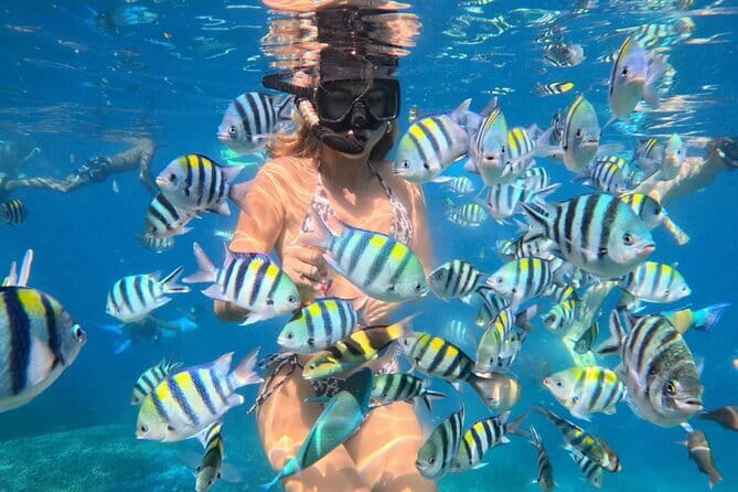 Bali : Blue Lagoon Snorkeling combine with Bali Swing in Ubud - The guide experience: English-first, culture-minded, patient help