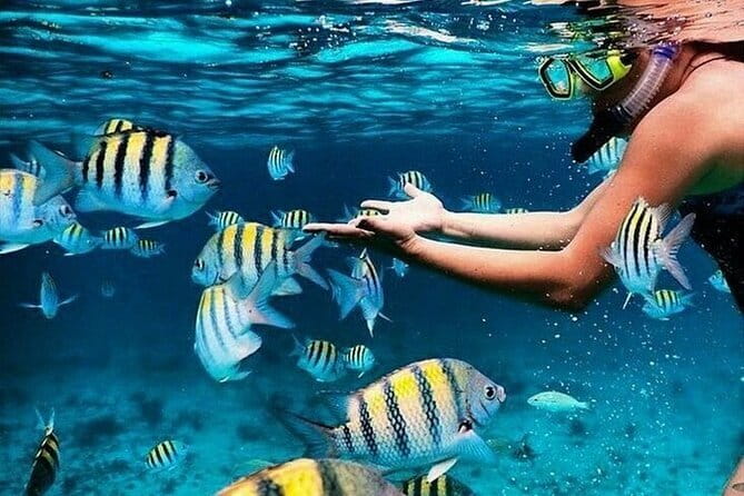 Bali Blue Lagoon Snorkeling with Waterfalls Tour - all included - Key things I’d bet on