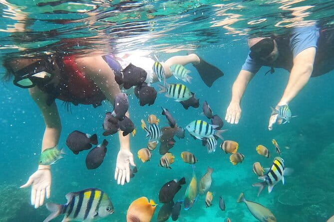 Bali Blue Lagoon Snorkeling with Waterfalls Tour - all included - What’s included in the $60, and what you’ll likely spend extra