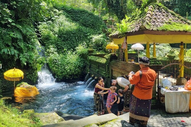 Bali Customizable Multi Language Tour with Driver-Guide - Key highlights I’d circle before you book