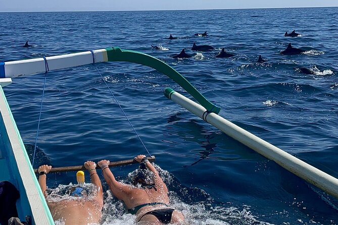 Bali : Dolphin Sunrise Experience Tour Private All Inclusive - Key highlights worth planning for