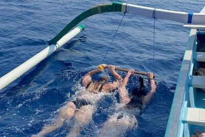 Bali : Dolphin Sunrise Experience Tour Private All Inclusive - Getting to North Bali: early pickup, early success