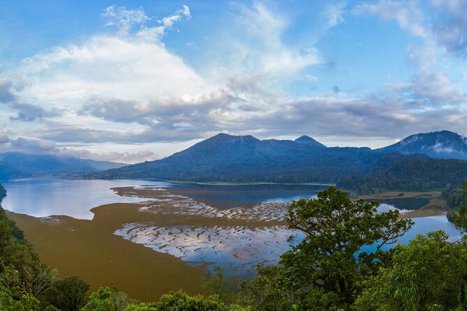 Bali : Dolphin Sunrise Experience Tour Private All Inclusive - Stop 4 (optional): Luwus village for organic coffee