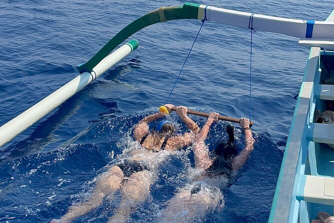 Bali : Dolphin Sunrise Experience Tour Private All Inclusive - Getting to North Bali: early pickup, early success