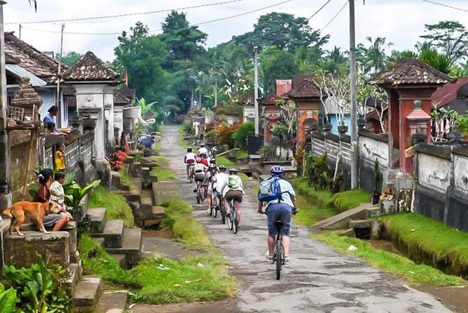 Bali Downhill Cycling and White Water Rafting - Morning Pickup and Kintamani Views That Set the Tone