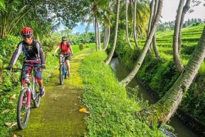 Bali Downhill Cycling and White Water Rafting - Downhill Cycling Through Villages, Rice Paddies, and Temples