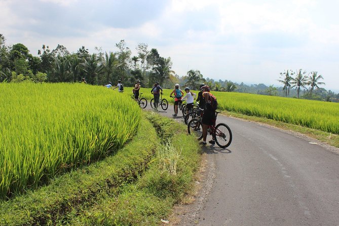 Bali Downhill Cycling and White Water Rafting - Ayung River Rafting: Rapids, Waterfalls, and Ramayana Carvings