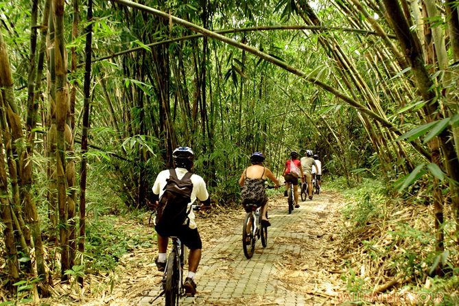 Bali Downhill Cycling and White Water Rafting - Who This Tour Fits Best (and Who Might Want a Different Plan)
