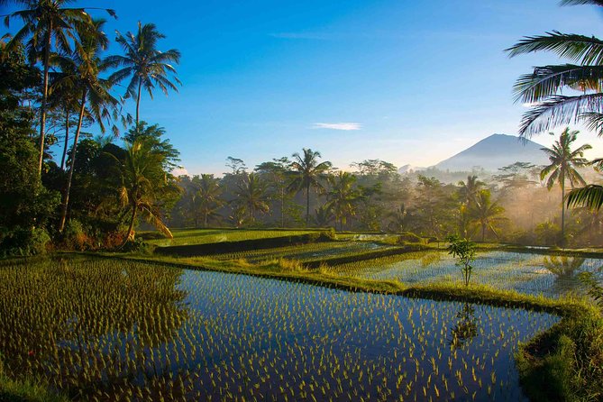 Bali Full Day Photography Tour - Tirta Empul: purification moments inside a temple setting