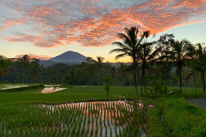 Bali Full Day Photography Tour - Photo coaching that works across iPhones, DSLRs, and drones