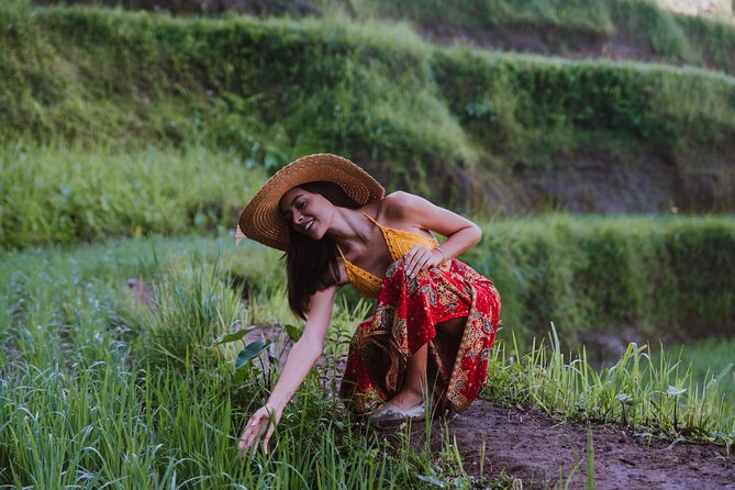 Bali Full Day Tour: Highlights of Ubud and Hidden Waterfall - A 10-hour Ubud plan that doesn’t waste your time