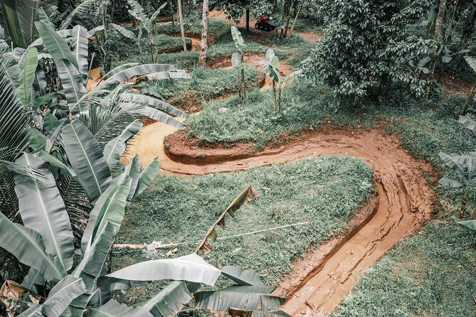Bali: Gorilla Face ATV Bali Ubud Adventure with Lunch - The ride itself: dirt tracks, mud, and a jungle tunnel moment
