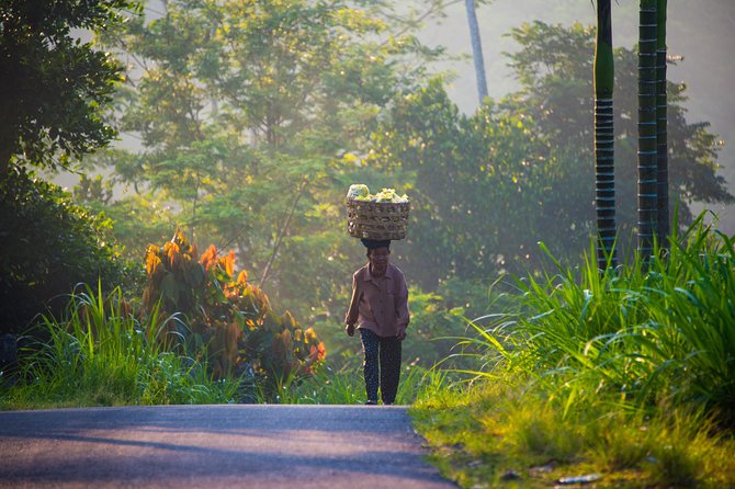 Bali Half Day Photography Tour - Price and value: what $164.11 really buys you