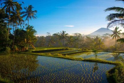Bali Half Day Photography Tour - Ubud morning market portraits: learning from real daily life