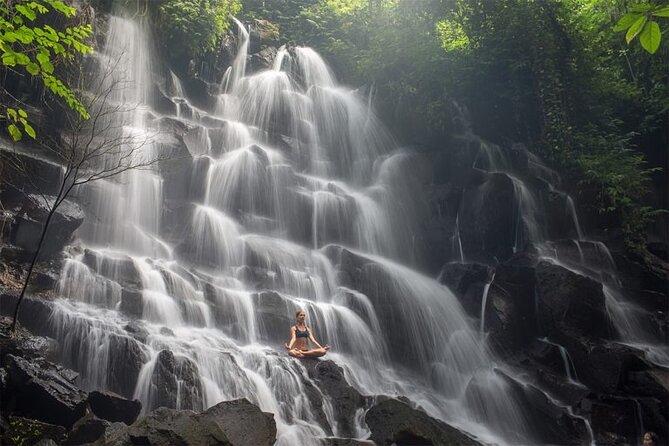 Bali Half Day Trip : All-Inclusive and Private Guided Tour - Ubud in Six Hours: What This Private Half-Day Really Covers