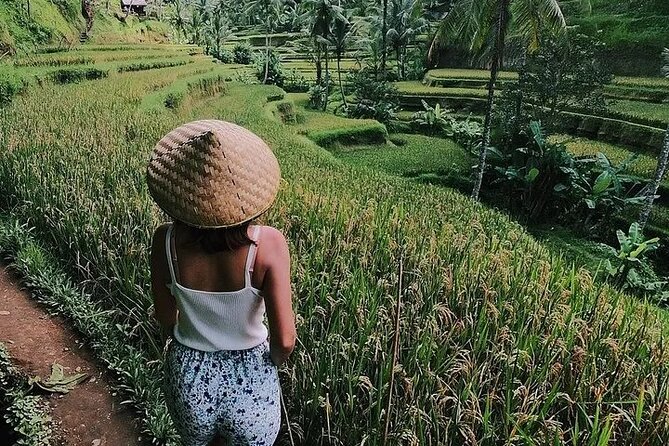 Bali Half Day Trip : All-Inclusive and Private Guided Tour - Stop 1: Sacred Monkey Forest Sanctuary and the 700 Macaques