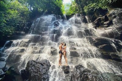 Bali Half Day Trip : All-Inclusive and Private Guided Tour - Getting Around in an Air-Conditioned Car (and Why It Matters in Ubud)
