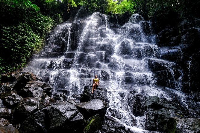 Bali Half Day Trip : All-Inclusive and Private Guided Tour - Stop 2: Tegalalang Rice Terraces, Views Worth the Photo Pauses
