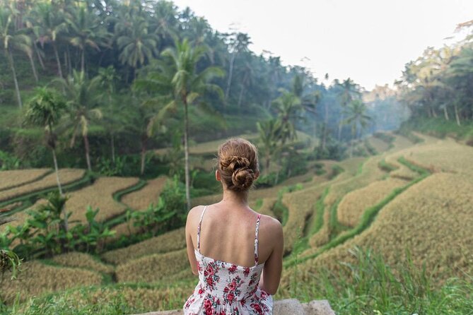Bali Half Day Trip : All-Inclusive and Private Guided Tour - Stop 3: Tegenungan Waterfall’s Mountain-Fresh Water