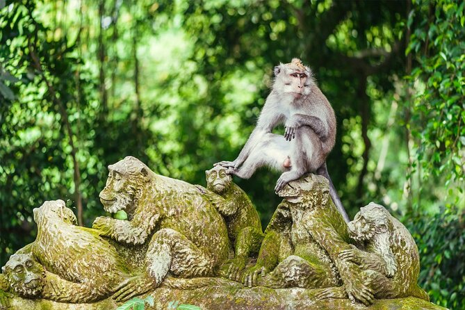 Bali Half Day Trip : All-Inclusive and Private Guided Tour - Price, Inclusions, and the Lunch Gap