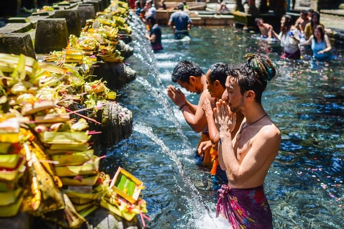 Bali Highlights Private Tour with Elephant Cave and Rice Field - What the price covers (and what it doesn’t)
