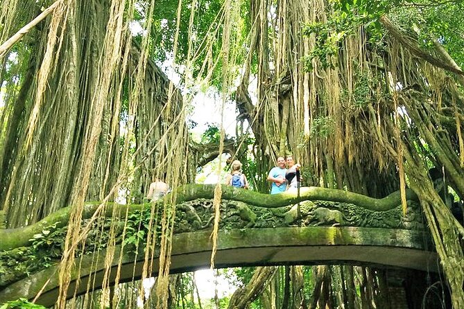 Bali Holy Bathing Ritual and Ubud Highlights tour - Tegalalang rice terrace: iconic views with time to actually look