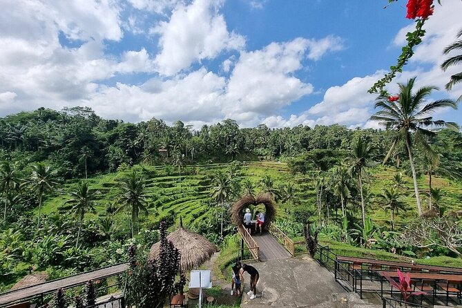 Bali Holy Bathing Ritual and Ubud Highlights tour - The private guide factor: what you’re really paying for