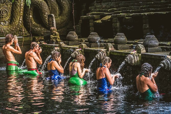Bali Holy Water Purification and Palm Reading - Who should book this Bali Holy Water and Palm Reading tour?