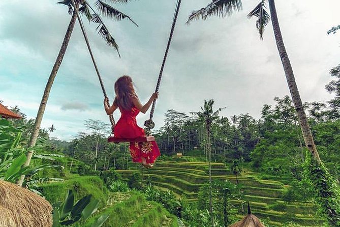 Bali Individual Route With Private English Speaking Driver - Private Bali route: what you’re really paying for at $32.83