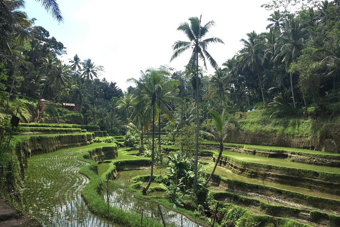 Bali Individual Route With Private English Speaking Driver - Tanah Lot Temple and Canggu Beach: the west-coast reset