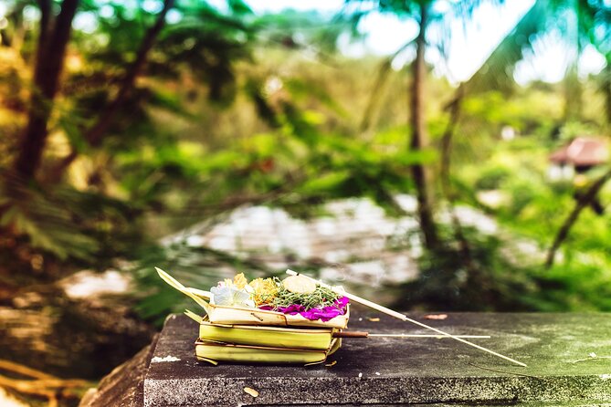 Bali Instagram Tour- Most Scenic Spots in Bali - Tirta Gangga: water palace gardens and the 1946 story
